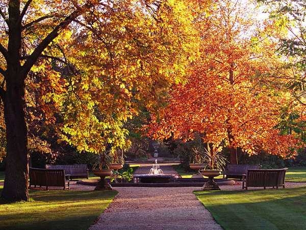 Oxford Botanic Garden