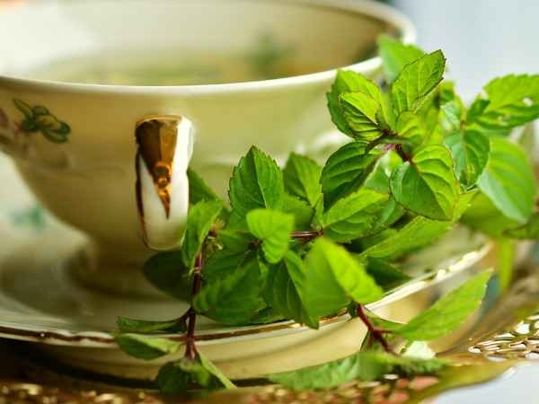 Peppermint Tea