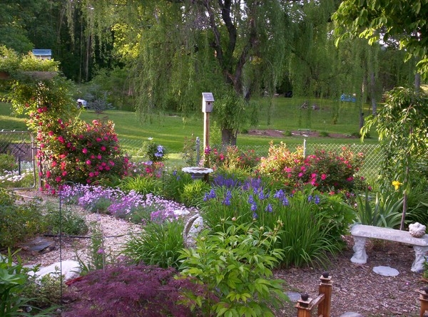 Perennial Garden