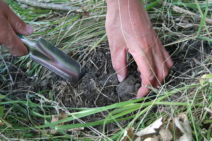 person using the shovel to plow the soil