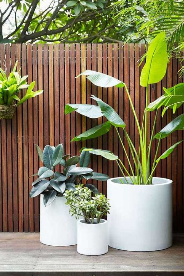 Plant Pots At Home Depot