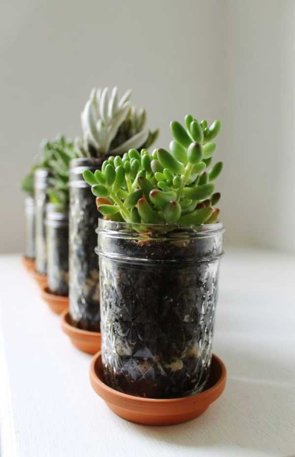 Plant Pots Holders