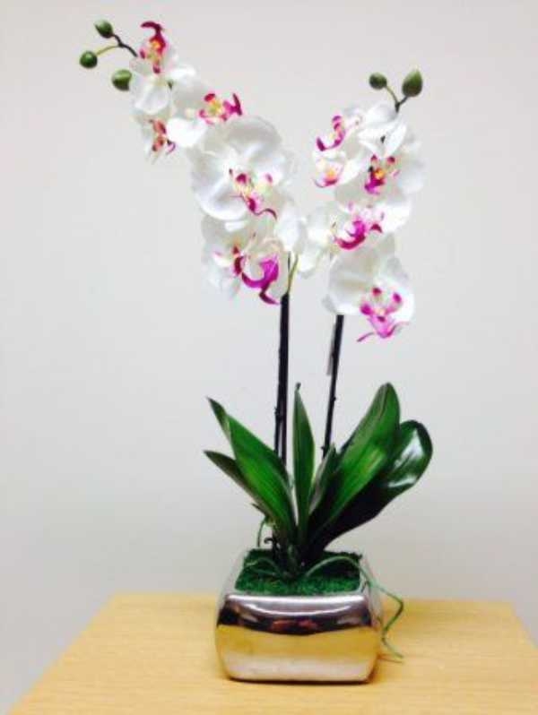 Plant Pots Indoor Decorative