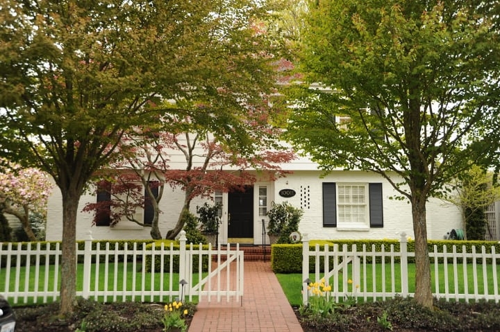 plant trees in the garden