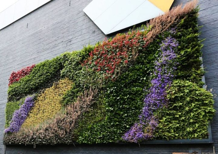 plant wall art uk