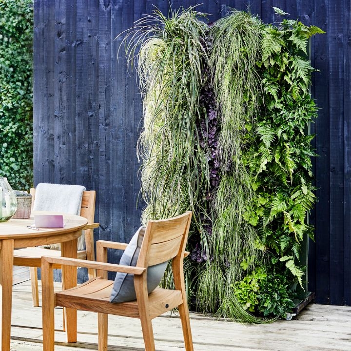 plant wall frame