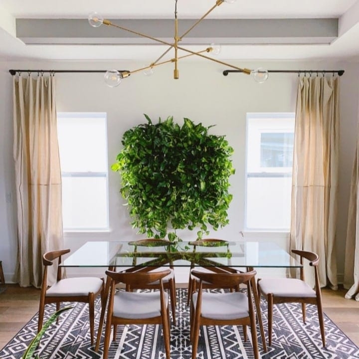 planted wall dining area backdrop