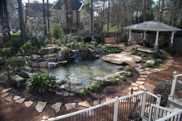 Plants Water Features