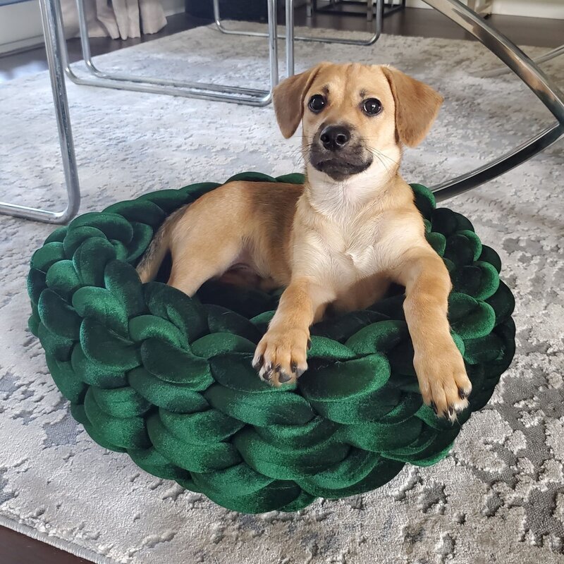 Plush Dog Bed