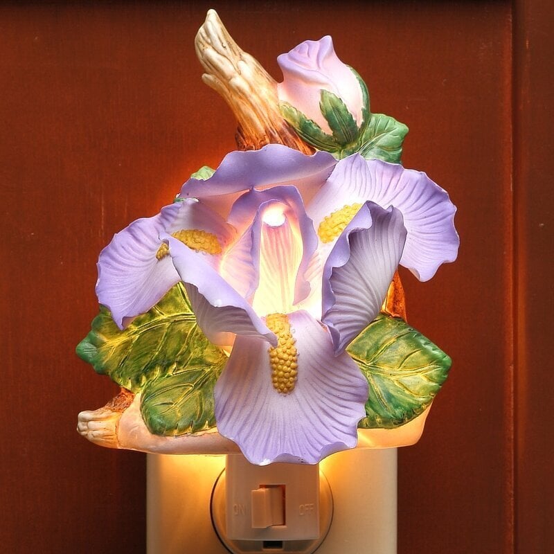 Porcelain floral nightlight bathroom