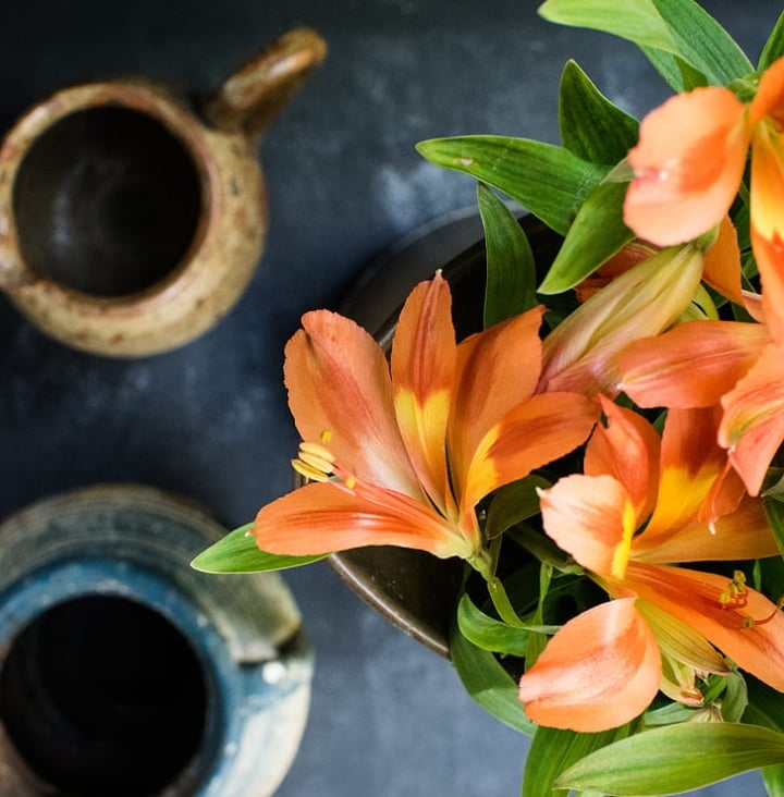 potted lily flower