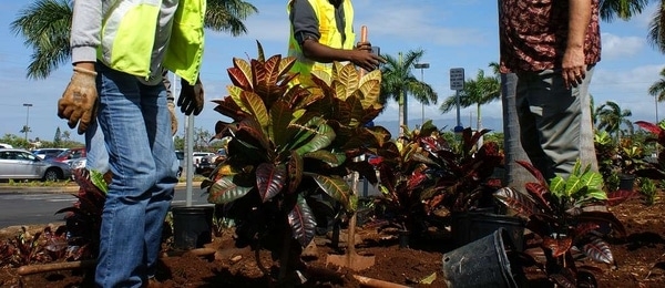 pros of hiring a landscaping architect