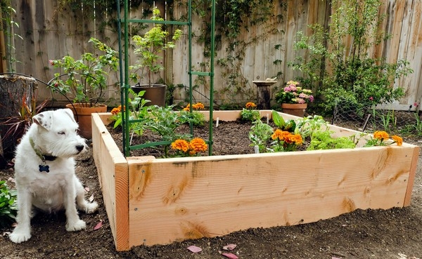 Raised Bed Garden Designs