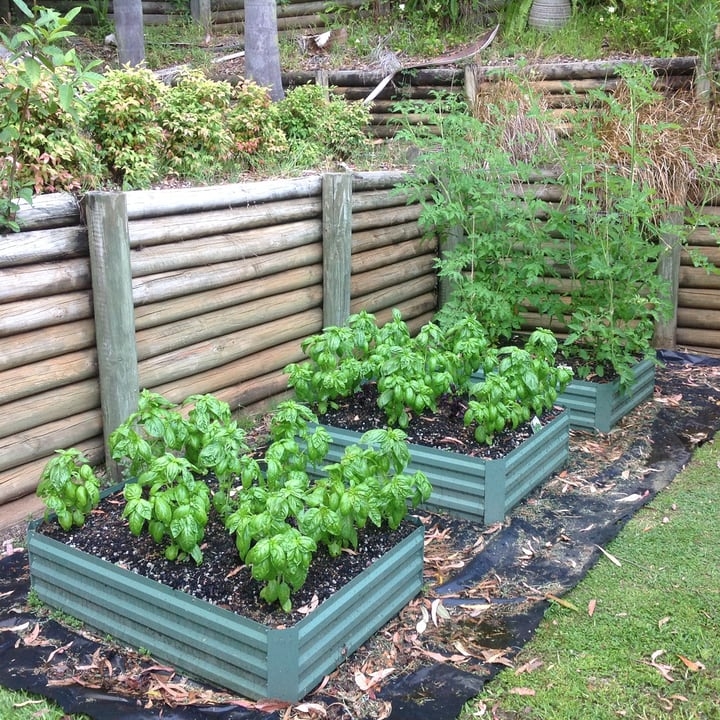 raised garden bed garden