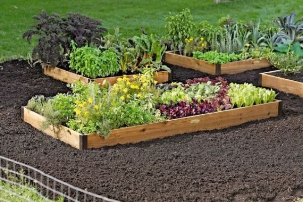 Raised Garden Bed Modern