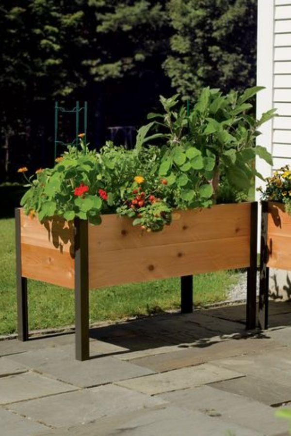 Raised Garden Bed Pictures