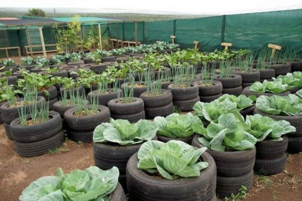 Raised Garden Bed Used