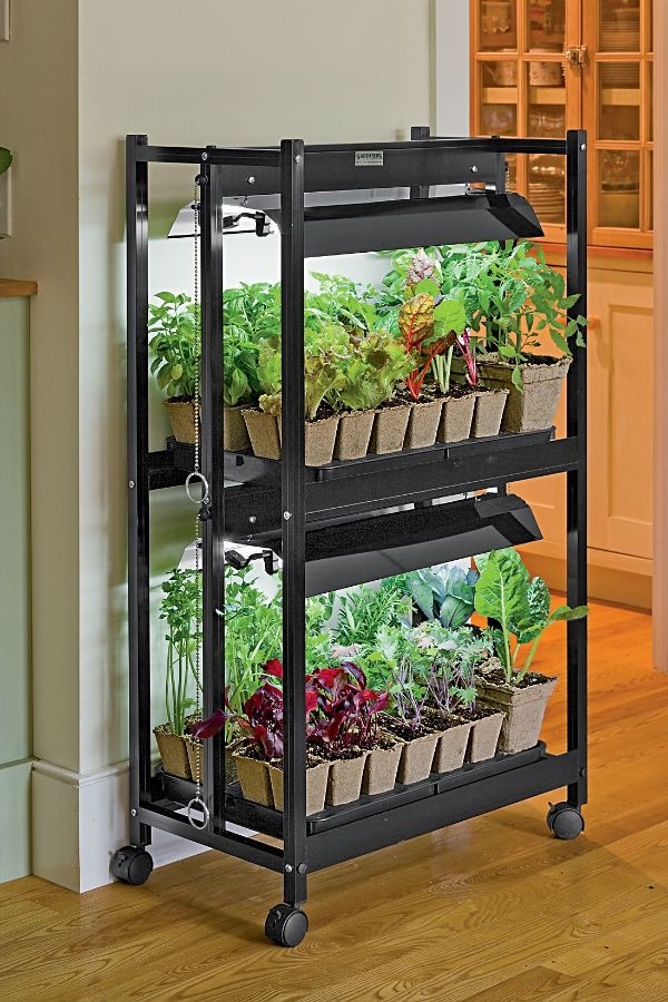 Reddit Indoor Container Gardening