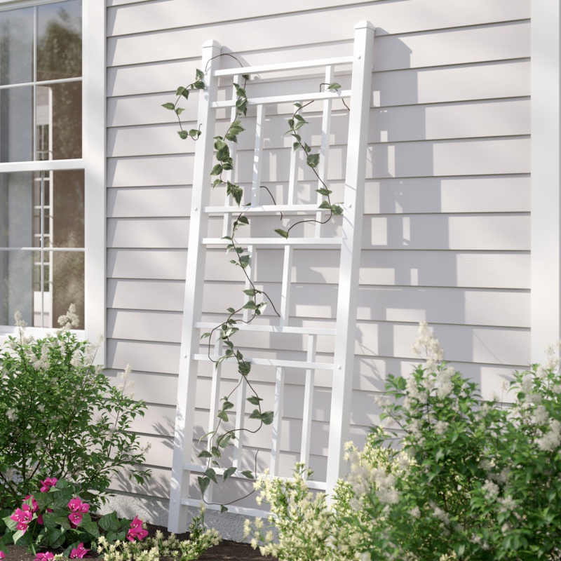 Walkway and Garden Trellis