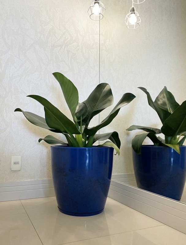 Resin Pot Planter