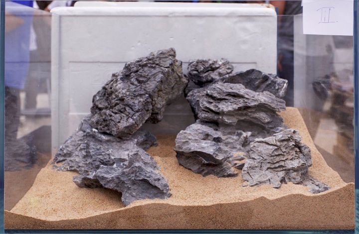rock aquascape