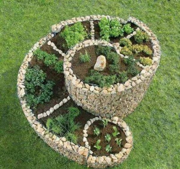 Rock Garden Herbs