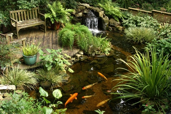 Rock Water Feature