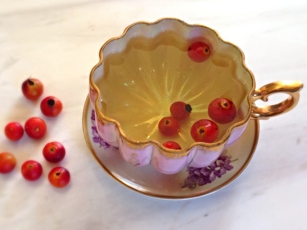 Rosehip Tea