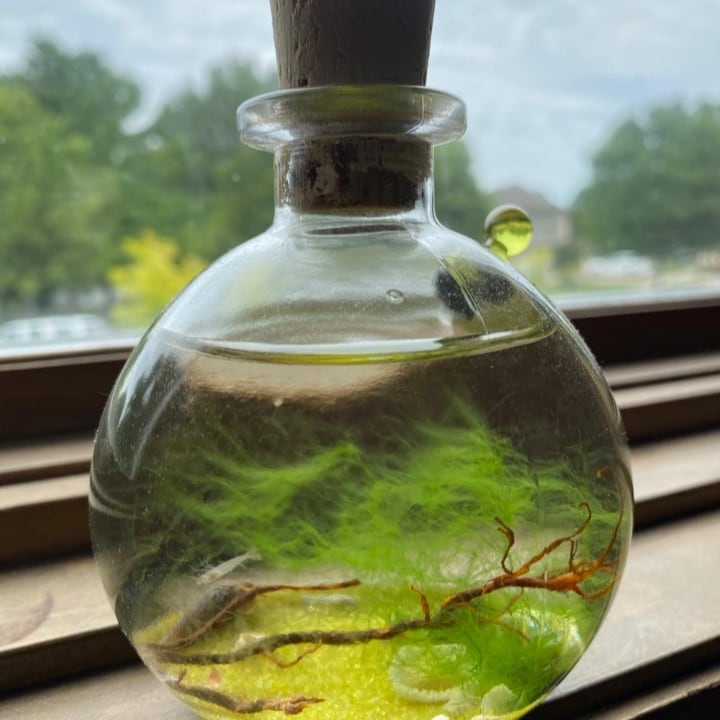 round jarrarium