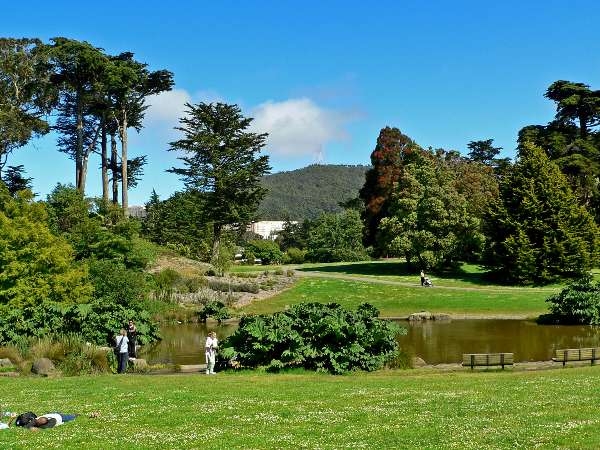 San Francisco Botanical Garden