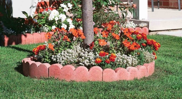 Scalloped Lawn Edging Ideas Australia