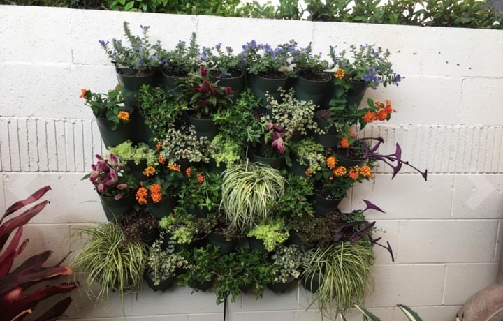 self watering outdoor living planted wall