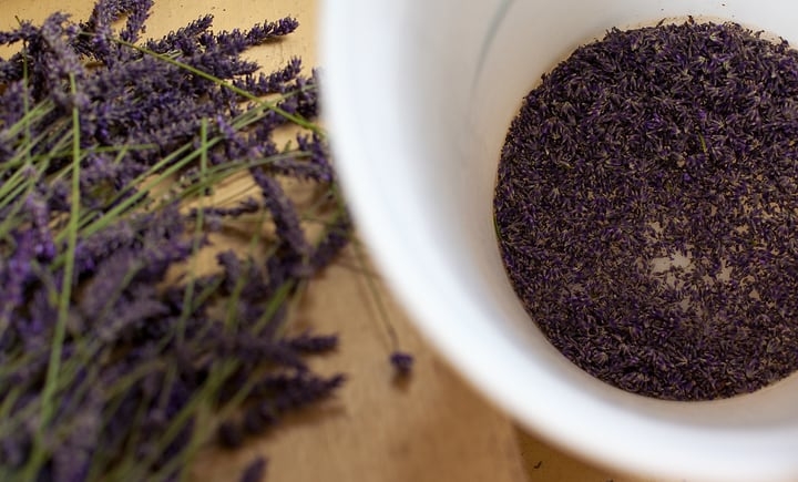 shelling dried lavender flower