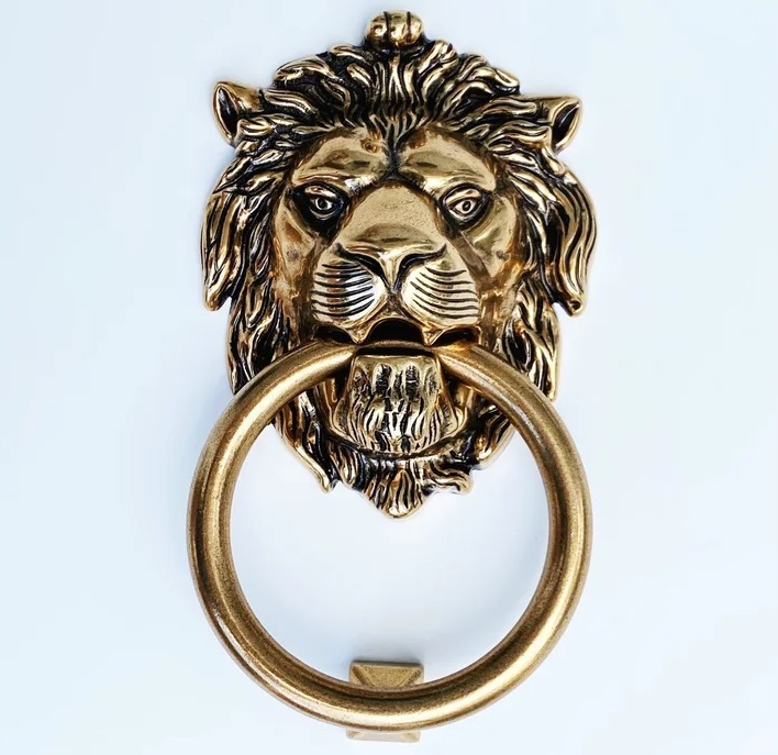 Shiny Door Knocker