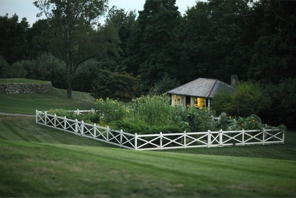 Simple Backyard Ideas