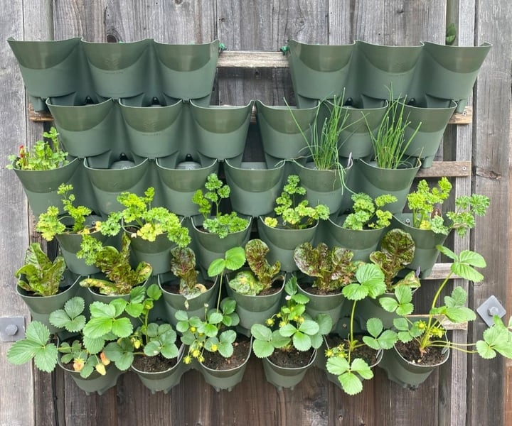 simple outdoor planted wall