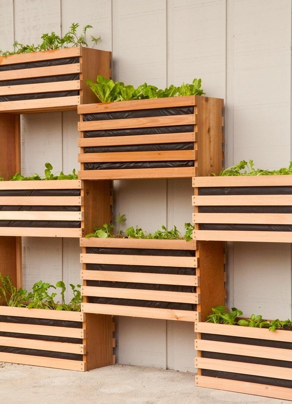 Simple Vertical Gardening DIY