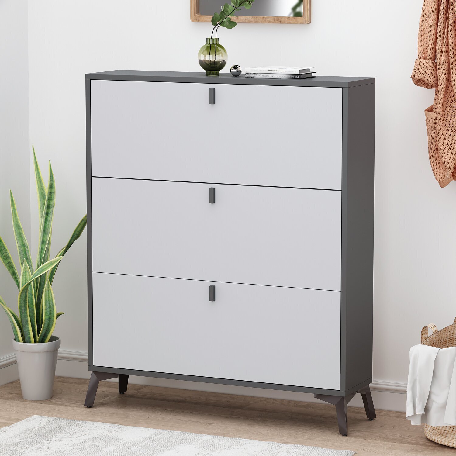 Sleek, Smooth Transitional Shoe Chest