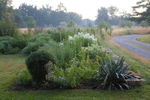 Small Backyard Ideas