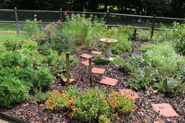 small bee garden