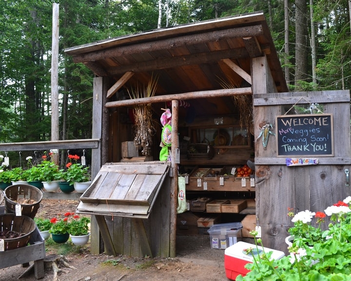 small scale market gardening