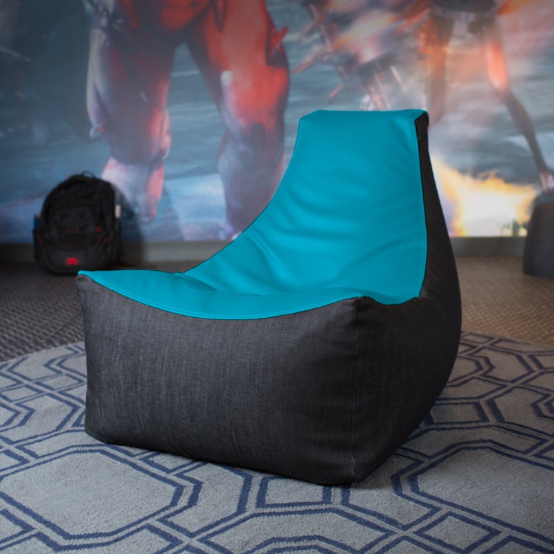 Standard Bean Bag Chair & Lounger