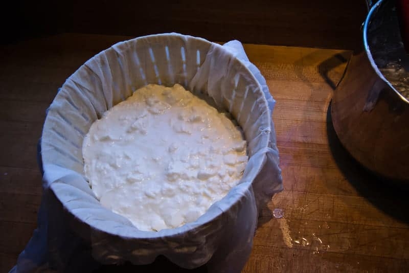 straining the milk curdle