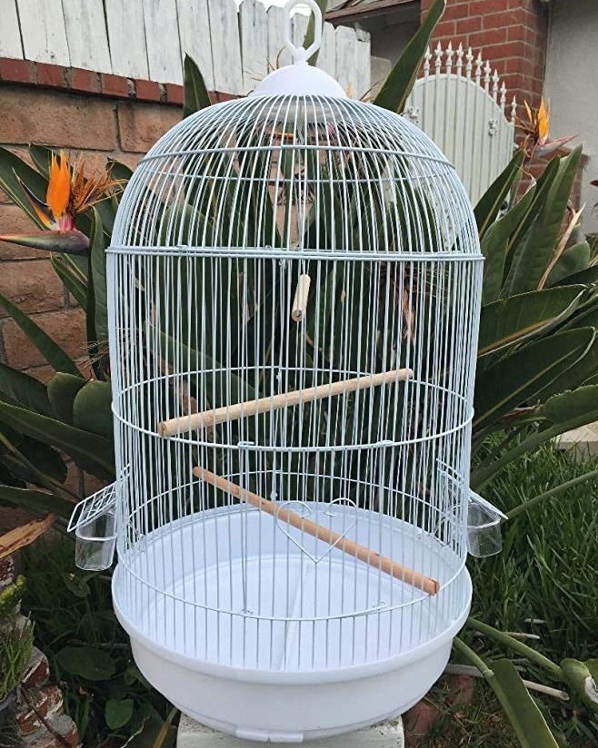 Sturdy White Dome Birdcage