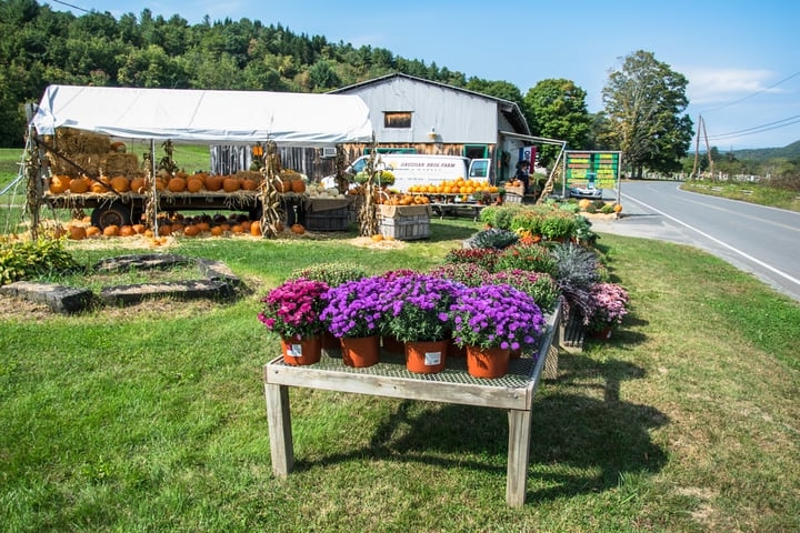 successful market gardening