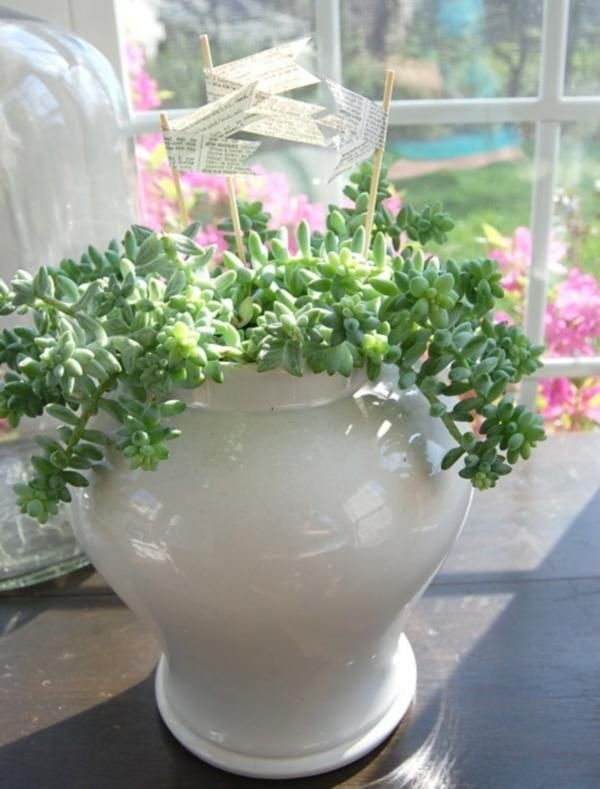 Summer Indoor Gardening Ideas