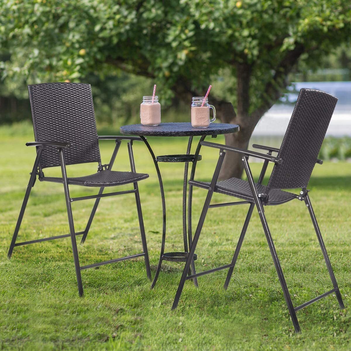 Tall Rattan Folding Chairs