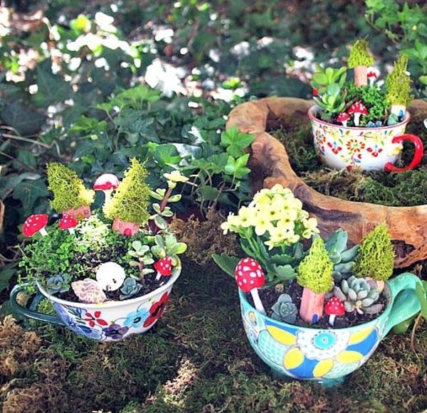 Teacup Fairy Garden