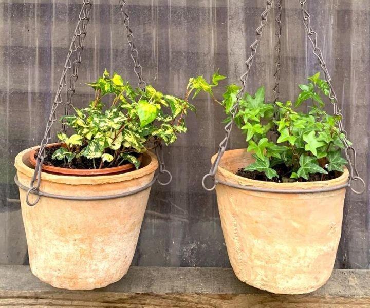 terra cotta hanging wall planters