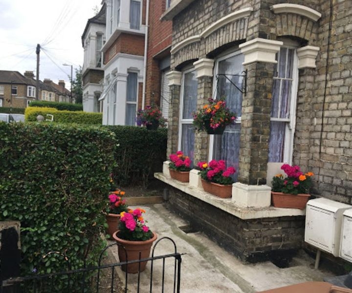 terrace gardening for beginners